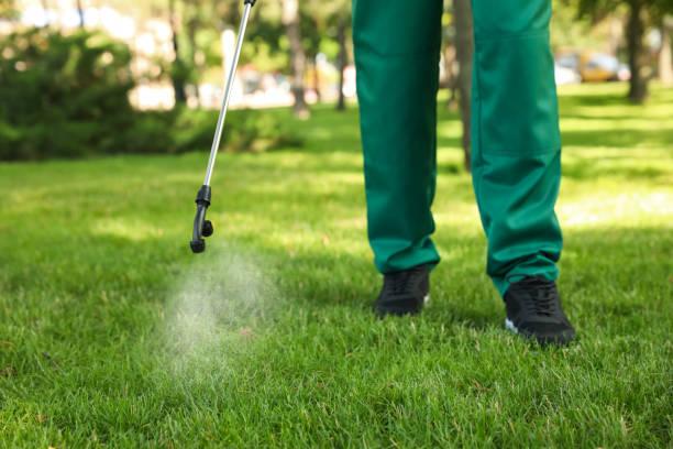 Best Ant Control Services  in Buckhorn, CA