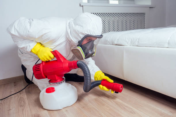 Best Exterminator Services  in Buckhorn, CA