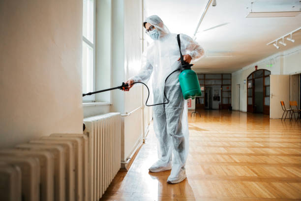 Buckhorn, CA Pest Control Pros